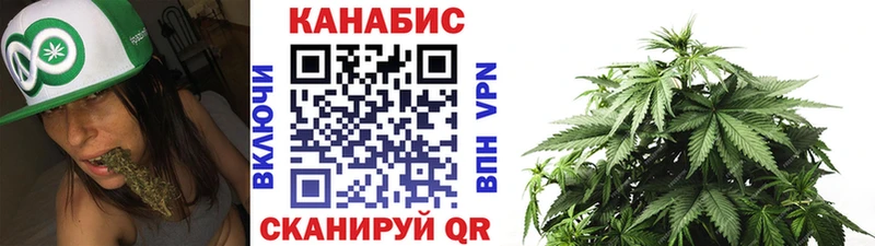 Купить закладки  Касимов  Шишки марихуана THC 21% 